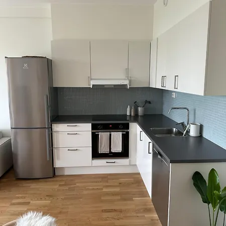 Ons 2024 For Rent Leilighet